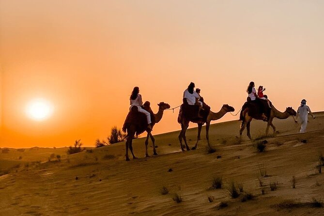 Thrilling 4-Hour Dune Bashing & Camel Ride Safari to Inland Sea - A brief camel ride at Sealine Beach