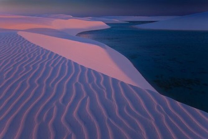Thrilling 4-Hour Dune Bashing & Camel Ride Safari to Inland Sea - What the four hours feel like