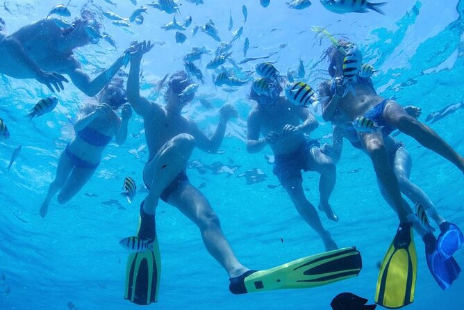Two Dives for certified divers in Fujairah - Is $155 a fair price?