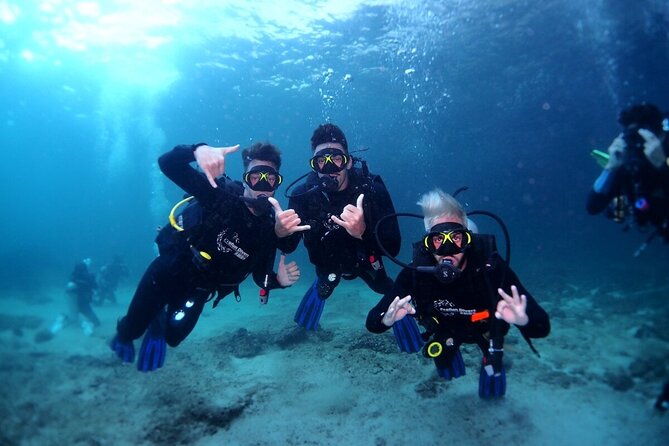 Two Dives for certified divers in Fujairah - What happens between the two sessions