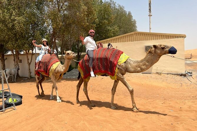 Vip Desert Safari Dubai with Camel Riding BBQ Dinner & Live Shows - Time, comfort, and the shared-tour tradeoff