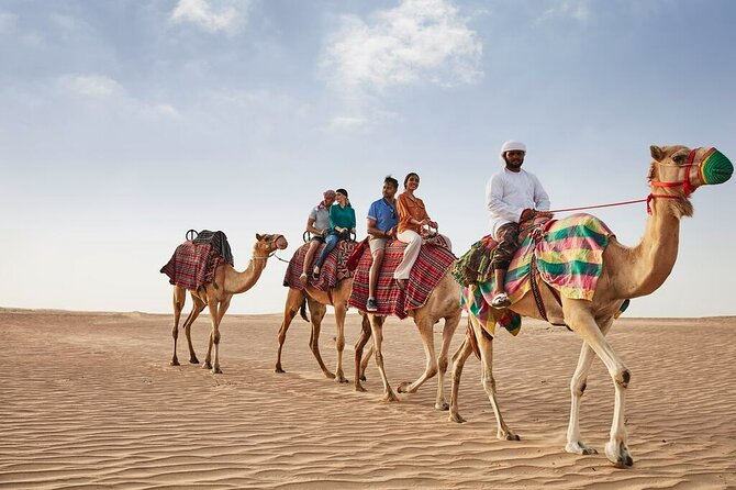 VIP Dubai Sunset Desert Safari: Camel Ride, BBQ, Unlimited Spirit - Camel ride and sandboarding