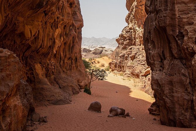 Wadi Rum Desert Tour with Lunch & Sunset - Khazali Canyon and ancient markings