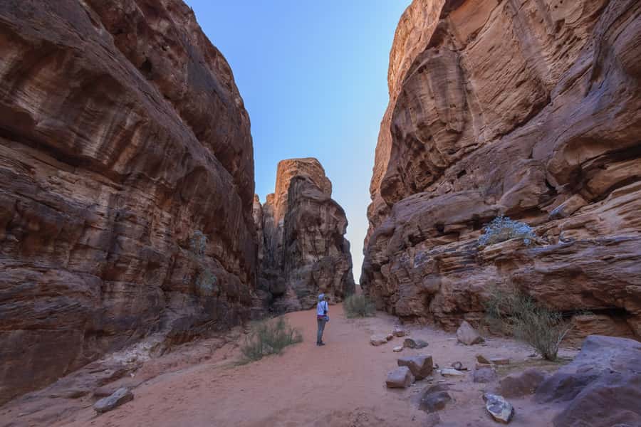 Wadi Rum: Explore 10-Hour Jeep Tour Pass, Guide, Meal & Stay - Sunset from a high desert viewpoint