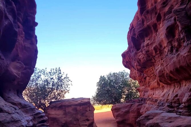 Wadi Rum Full Day Jeep Tour + Overnight & Dinner in Bedouin Camp - Abu Khashaba Canyon and the quieter side of Wadi Rum