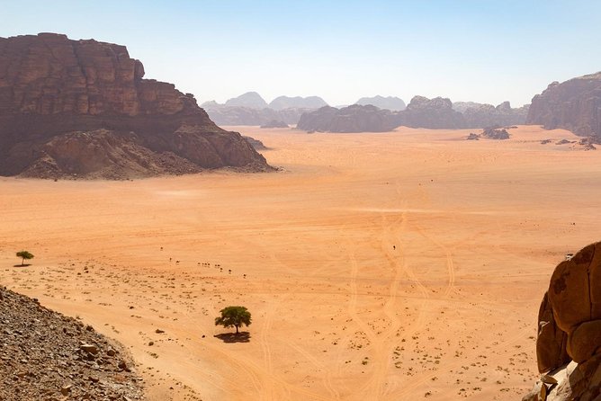 Wadi Rum: Full Day Valley Tour with Lunch - Lawrence Spring and the first desert views