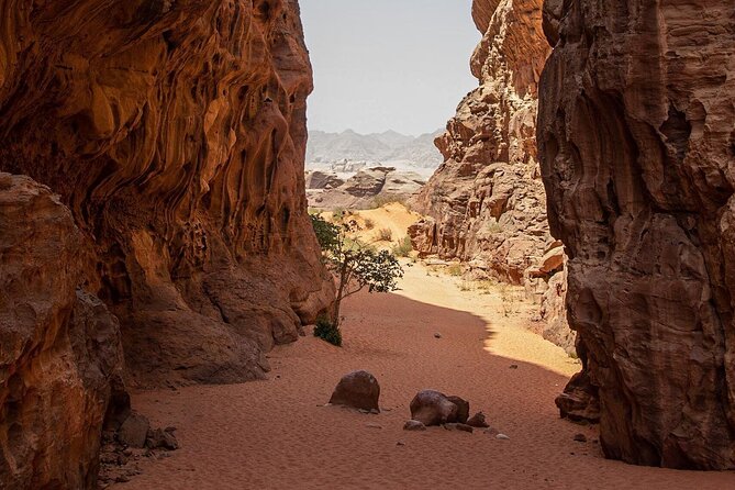 Wadi Rum Half-Day Desert Tour | Wadi Rum Desert - Abu Khashaba Canyon and open desert views