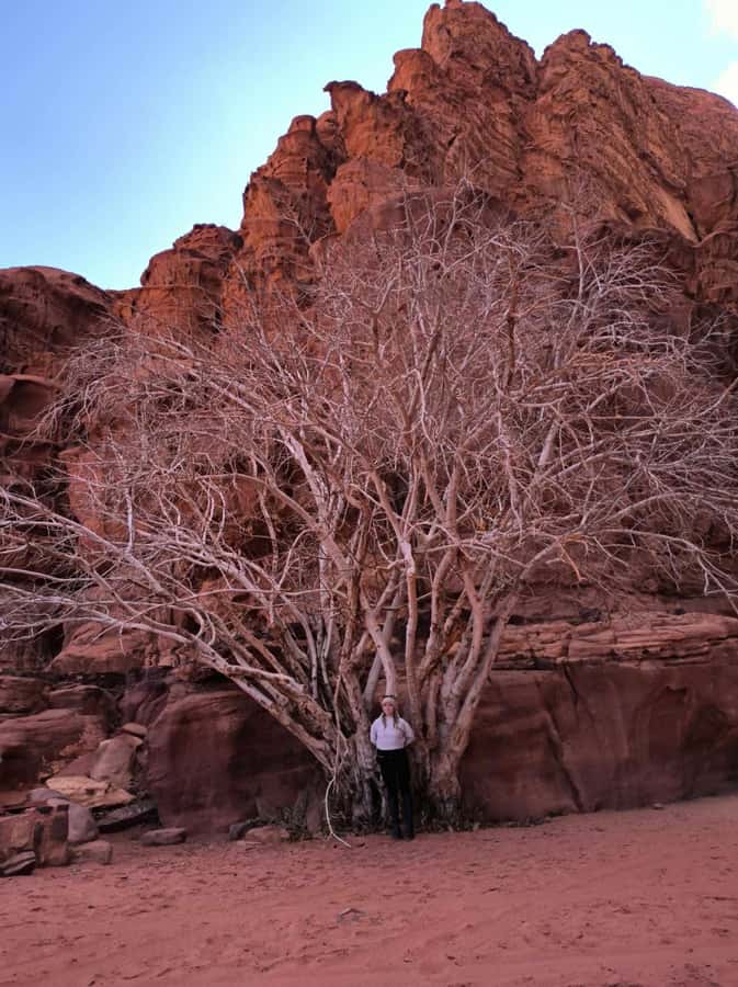 Wadi Rum: Morning or Sunset Jeep Tour - Little Bridge and cardamom tea