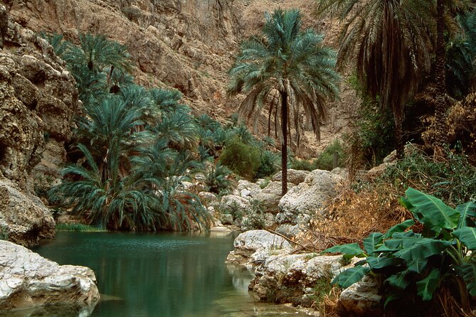 Wadi Shab and Bimmah Sinkhole Group Full Day Tour - What the guides add to the day