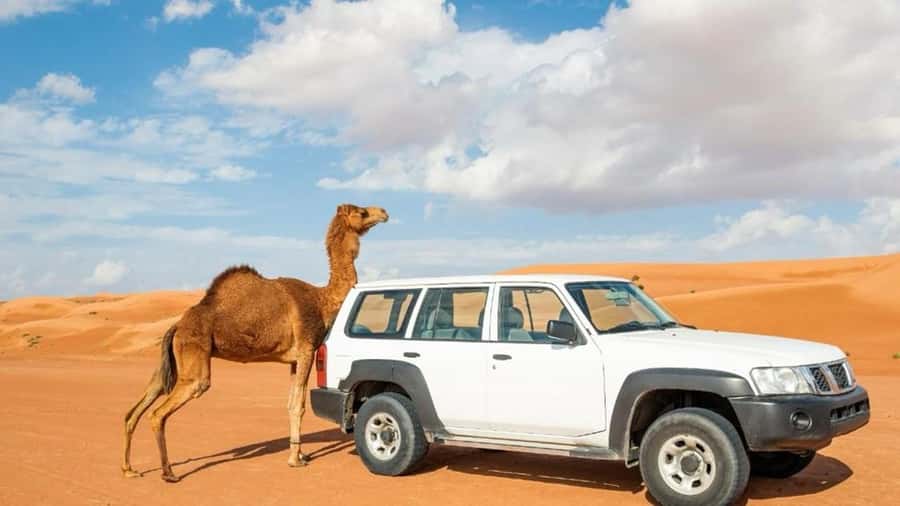 Wahiba Sand and Wadi Bani Khalid Guided Group Tour - Lunch in Ash Sharqiyah North Governorate