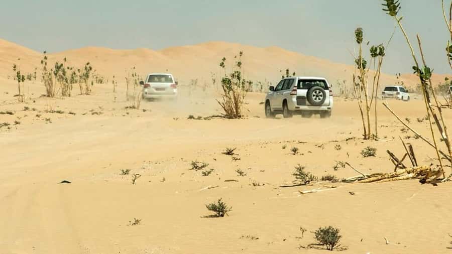 Wahiba Sand and Wadi Bani Khalid Guided Group Tour - What the $220 price really buys