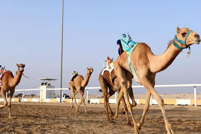 West Of Qatar, Mushroom Rocks, Camel Racing Track, Richard Serra - Zekreet Fort ruins and the use of beach rock