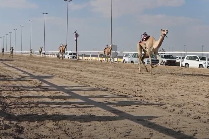 West Of Qatar, Mushroom Rocks, Camel Racing Track, Richard Serra - What the private format means in practice