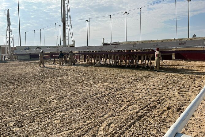 West Of Qatar, Mushroom Rocks, Camel Racing Track, Richard Serra - The guide can make or break the day