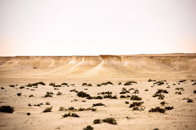 West of Qatar Tour || Richard Serra || Mushroom Rock Formation - Why west Qatar feels so different from Doha